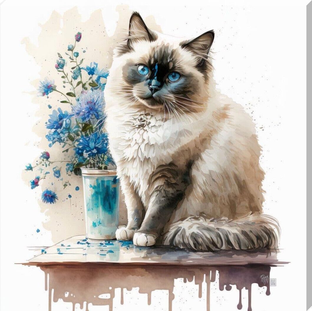 Rag Doll Cat, Digital Print, Canvas Art Print/Art Work 16" x 16" - Love By Canvas