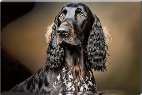 Scottish Setter Hunting Dog Long Eared Art Wall Canvas 26" x 20" - Love By Canvas